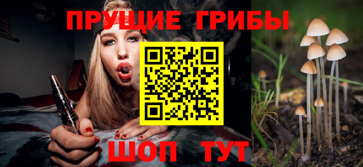 Псилоцибиновые грибы Psilocybine cubensis Можга