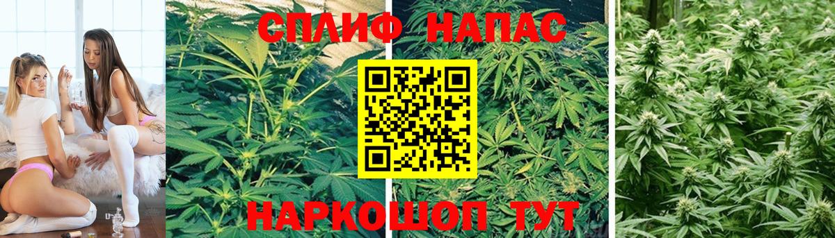 Канабис OG Kush Можга