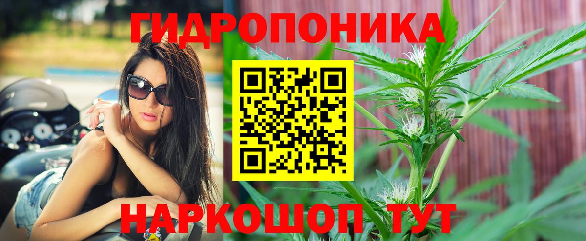 Канабис Можга
